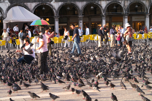 venedig14.jpg